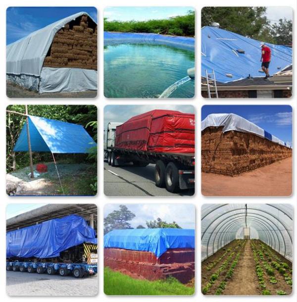 篷布：守護您的世界，從細節開始